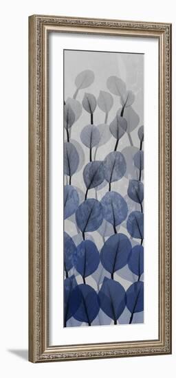 Sapphire Blooms 4-Albert Koetsier-Framed Photographic Print