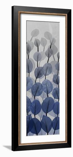 Sapphire Blooms 4-Albert Koetsier-Framed Photographic Print