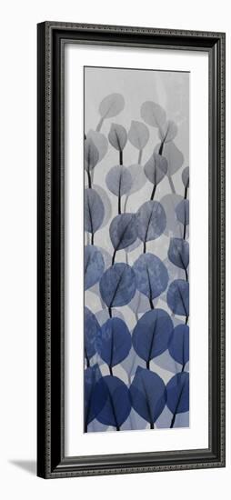 Sapphire Blooms 4-Albert Koetsier-Framed Photographic Print