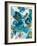 Sapphire Blooms II-Cat Tesla-Framed Giclee Print