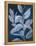 Sapphire Ficus II-Grace Popp-Framed Stretched Canvas