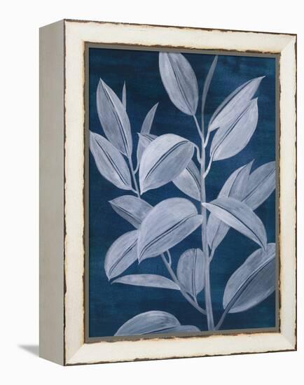 Sapphire Ficus II-Grace Popp-Framed Stretched Canvas