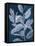 Sapphire Ficus II-Grace Popp-Framed Stretched Canvas