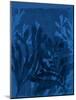 Sapphire Sea Bloom II-Victoria Barnes-Mounted Art Print