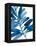 Sapphire Stems III-Asia Jensen-Framed Stretched Canvas