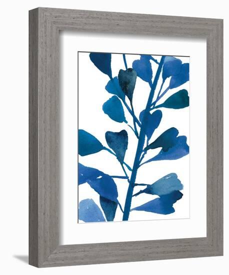 Sapphire Stems VI-Asia Jensen-Framed Art Print