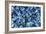 Sapphires Panned From River Gravels-Vaughan Fleming-Framed Photographic Print