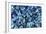 Sapphires Panned From River Gravels-Vaughan Fleming-Framed Photographic Print