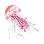 Pink Jellyfish-Sara Berrenson-Art Print