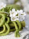 Cherry Blossom on a Felted Cord-Sara Deluca-Photographic Print