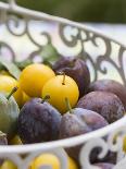Damsons and Mirabelles in Wire Basket-Sara Deluca-Photographic Print