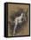 Sara, la Baigneuse-Jean Jacques Henner-Framed Premier Image Canvas