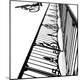 Premium Photographic Print