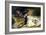 Sarah Bernhardt 1871-Georges Clairin-Framed Giclee Print