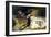 Sarah Bernhardt 1871-Georges Clairin-Framed Giclee Print