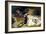 Sarah Bernhardt 1871-Georges Clairin-Framed Giclee Print