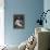 Sarah Bernhardt, French Actress, C1865-Felix Nadar-Framed Premier Image Canvas displayed on a wall
