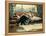 Sarah Bernhardt-Julius Leblanc Stewart-Framed Premier Image Canvas