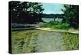 Stretched Canvas Print