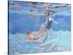 Stretched Canvas Print