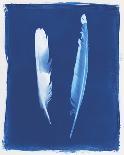 Pheasant Feather-Sarah Cheyne-Framed Giclee Print
