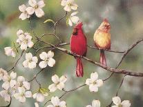Hummingbird with Flowers-Sarah Davis-Giclee Print