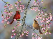 Hummingbird with Flowers-Sarah Davis-Giclee Print