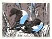 Giclee Print