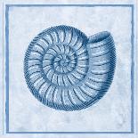 Blue Nautilus B-Sarah E. Chilton-Art Print