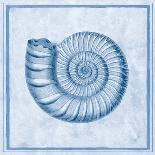 Blue Nautilus B-Sarah E. Chilton-Framed Art Print