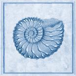Blue Nautilus C-Sarah E. Chilton-Art Print