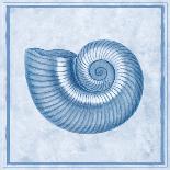 Blue Nautilus B-Sarah E. Chilton-Framed Art Print