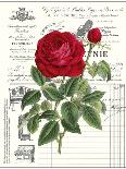 Heirloom Roses A-Sarah E. Chilton-Art Print