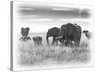 Stretched Canvas Print