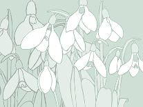 Snowdrops  2017  (digital)-Sarah Hough-Giclee Print