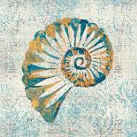 Coastal Beauty III-Sarah Mousseau-Art Print