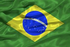 Brazil Flag-Sarah Nicholl-Photographic Print