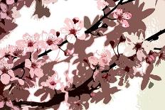 Japanese Blossom-Sarah O'Toole-Mounted Giclee Print