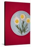 Flower eggs-Sarah Saratonina-Photographic Print
