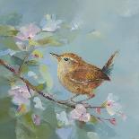 Birds in Blossom-Sarah Simpson-Framed Giclee Print