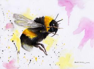 Bee Wasp Art Prints Paintings Posters Framed Wall Artwork