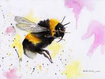 Bumble Bee Watercolor-Sarah Stribbling-Art Print