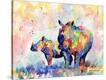 Stretched Canvas Print