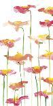 Flower Floats-Sarah Von Dreele-Framed Giclee Print