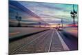 Photographic Print