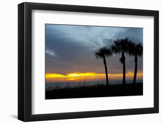 Sarasota, Sunset on the Crescent Beach, Siesta Key, Florida, USA-Bernard Friel-Framed Photographic Print