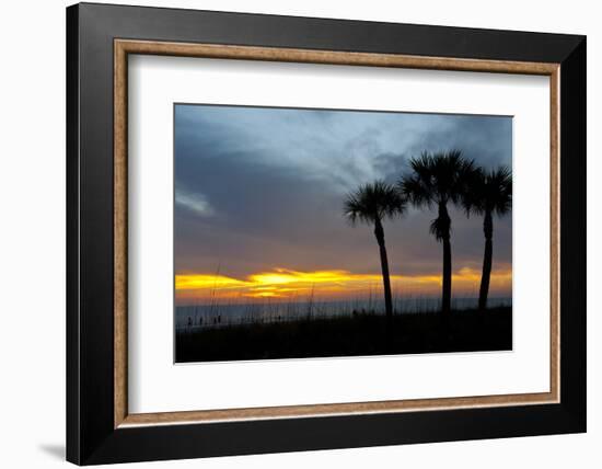 Sarasota, Sunset on the Crescent Beach, Siesta Key, Florida, USA-Bernard Friel-Framed Photographic Print