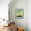 Sarasota-Stella Bradley-Framed Premium Giclee Print displayed on a wall
