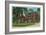 Saratoga Springs, New York - City Park View of Casino Exterior-Lantern Press-Framed Art Print