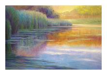 Sunlit Pond 2-Sarback-Framed Giclee Print